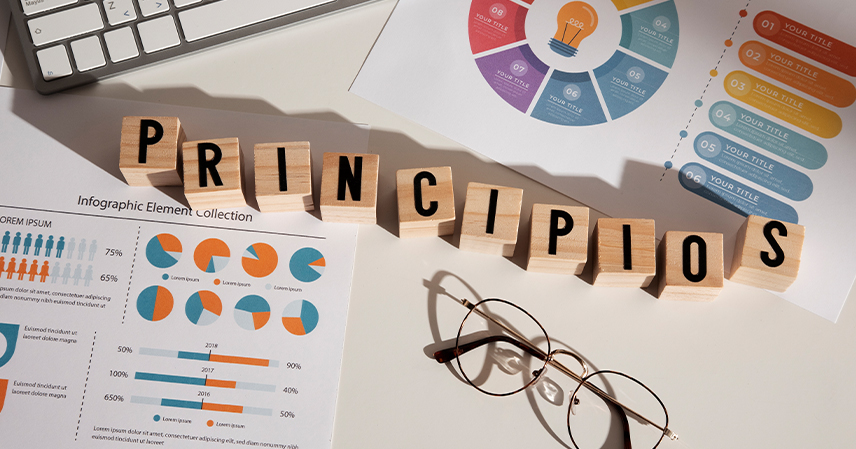 Home graphic design principles for beginners feature img